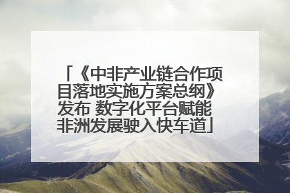 《中非产业链合作项目落地实施方案总纲》发布 数字化平台赋能非洲发展驶入快车道