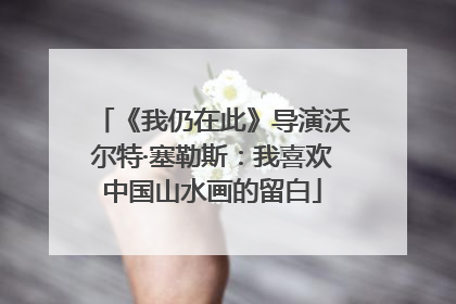 《我仍在此》导演沃尔特·塞勒斯：我喜欢中国山水画的留白