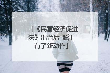 《民营经济促进法》出台后 张江有了新动作