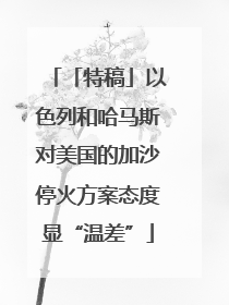 「特稿」以色列和哈马斯对美国的加沙停火方案态度显“温差”