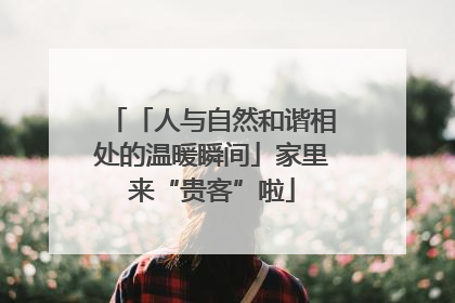 「人与自然和谐相处的温暖瞬间」家里来“贵客”啦