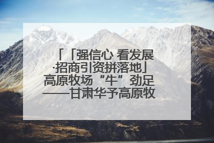 「强信心 看发展·招商引资拼落地」高原牧场“牛”劲足——甘肃华予高原牧场高标准奶牛肉牛养殖项目一线见闻