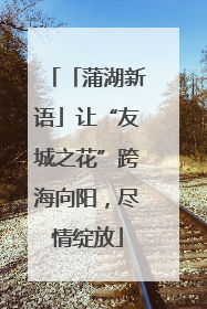 「蒲湖新语」让“友城之花”跨海向阳，尽情绽放