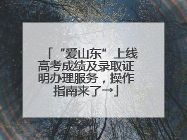 “爱山东”上线高考成绩及录取证明办理服务，操作指南来了→