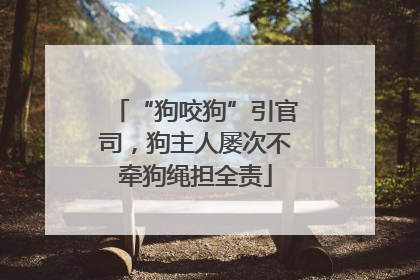 “狗咬狗”引官司，狗主人屡次不牵狗绳担全责