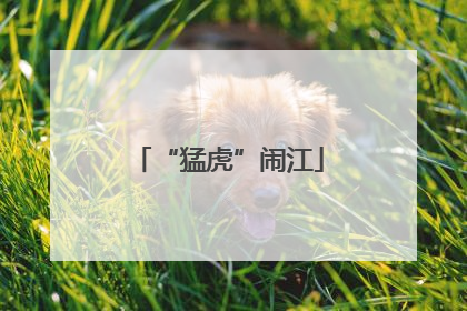 “猛虎”闹江
