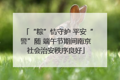 “粽”情守护 平安“警”随 端午节期间南京社会治安秩序良好