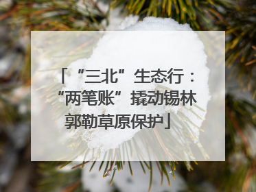 “三北”生态行：“两笔账”撬动锡林郭勒草原保护