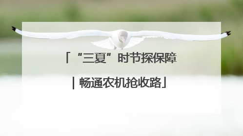 “三夏”时节探保障｜畅通农机抢收路