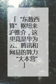 “东数西算”枢纽来沪推介，这里竟是华为云、腾讯和网易的算力“大本营”