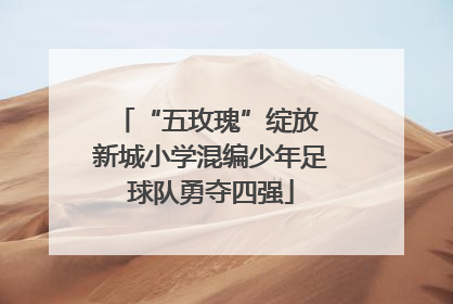“五玫瑰”绽放 新城小学混编少年足球队勇夺四强