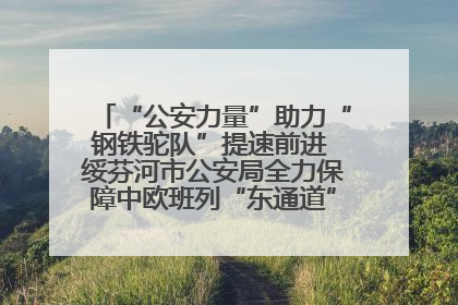 “公安力量”助力“钢铁驼队”提速前进 绥芬河市公安局全力保障中欧班列“东通道”绥芬河隧道贯通