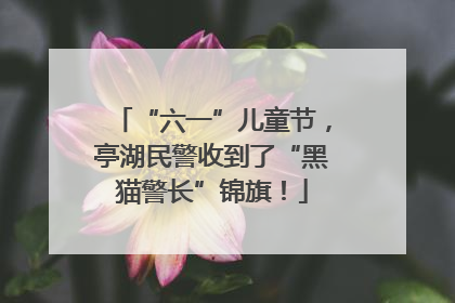 “六一”儿童节，亭湖民警收到了“黑猫警长”锦旗！