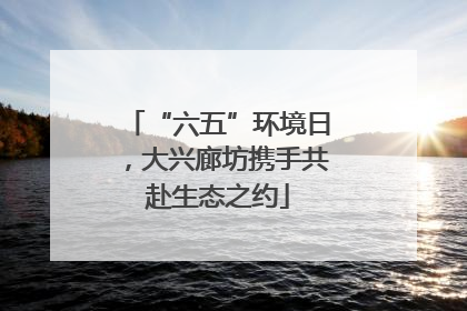 “六五”环境日，大兴廊坊携手共赴生态之约