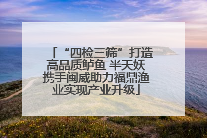 “四检三筛”打造高品质鲈鱼 半天妖携手闽威助力福鼎渔业实现产业升级