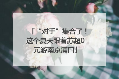 “对手”集合了！这个夏天跟着苏超0元游南京浦口