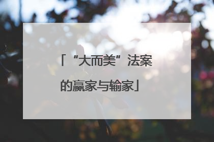 “大而美”法案的赢家与输家