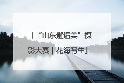 “山东邂逅美”摄影大赛｜花海写生
