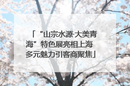 “山宗水源·大美青海”特色展亮相上海 多元魅力引客商聚焦