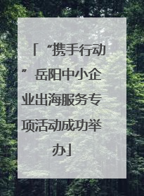 “携手行动”岳阳中小企业出海服务专项活动成功举办