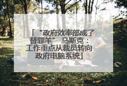 “政府效率部成了替罪羊” 马斯克：工作重点从裁员转向政府电脑系统