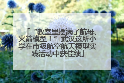 “教室里摆满了航母、火箭模型！”武汉这所小学在市级航空航天模型实践活动中获佳绩