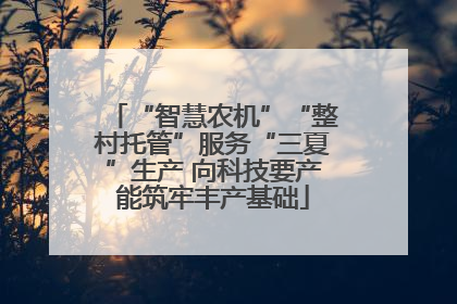 “智慧农机”“整村托管”服务“三夏”生产 向科技要产能筑牢丰产基础