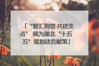 “智汇荆楚·共建支点” 我为湖北“十五五”规划建言献策
