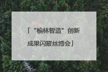 “榆林智造”创新成果闪耀丝博会