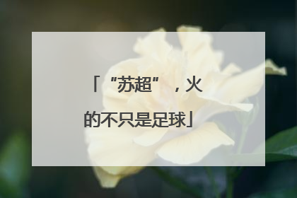 “苏超”，火的不只是足球