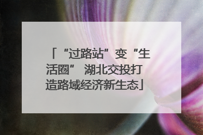 “过路站”变“生活圈” 湖北交投打造路域经济新生态