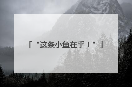 “这条小鱼在乎！”