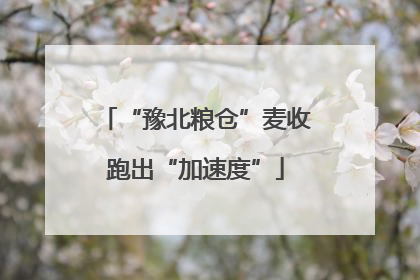“豫北粮仓”麦收跑出“加速度”