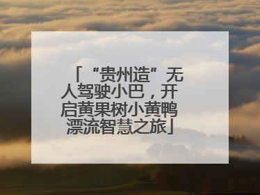 “贵州造”无人驾驶小巴，开启黄果树小黄鸭漂流智慧之旅
