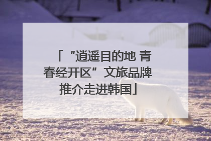 “逍遥目的地 青春经开区”文旅品牌推介走进韩国