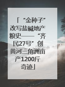 “金种子”改写盐碱地产粮史——“齐民27号”创黄河三角洲亩产1200斤奇迹