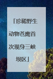 珍稀野生动物苍鹰首次现身三峡坝区