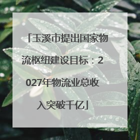 玉溪市提出国家物流枢纽建设目标：2027年物流业总收入突破千亿