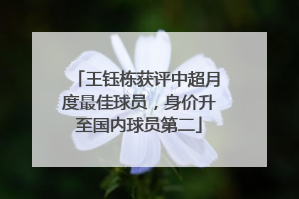 王钰栋获评中超月度最佳球员，身价升至国内球员第二