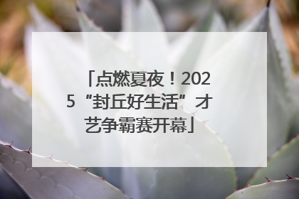 点燃夏夜！2025“封丘好生活”才艺争霸赛开幕