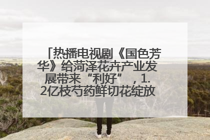 热播电视剧《国色芳华》给菏泽花卉产业发展带来“利好”，1.2亿枝芍药鲜切花绽放“国色芳华”