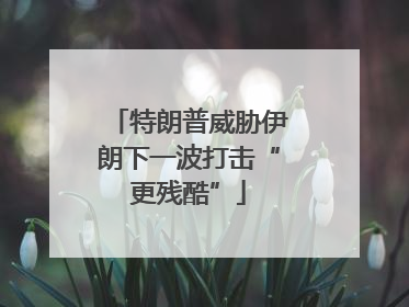 特朗普威胁伊朗下一波打击“更残酷”