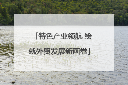 特色产业领航 绘就外贸发展新画卷