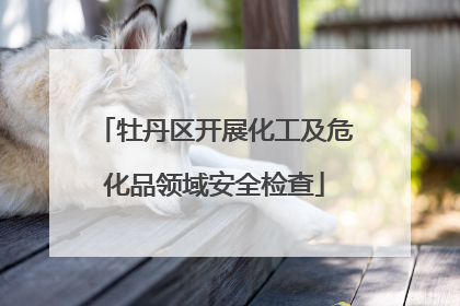 牡丹区开展化工及危化品领域安全检查