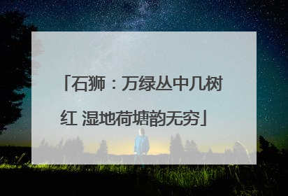 石狮：万绿丛中几树红 湿地荷塘韵无穷