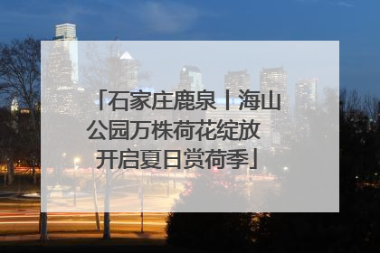 石家庄鹿泉丨海山公园万株荷花绽放 开启夏日赏荷季