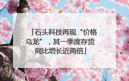 石头科技再现“价格乌龙”，其一季度存货同比增长近两倍