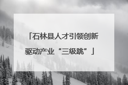 石林县人才引领创新驱动产业“三级跳”