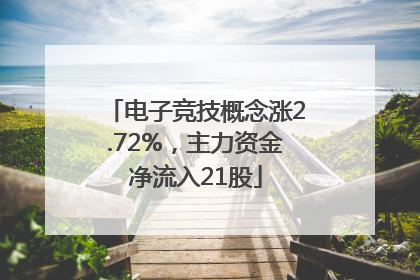 电子竞技概念涨2.72%，主力资金净流入21股