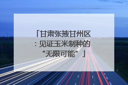 甘肃张掖甘州区：见证玉米制种的“无限可能”